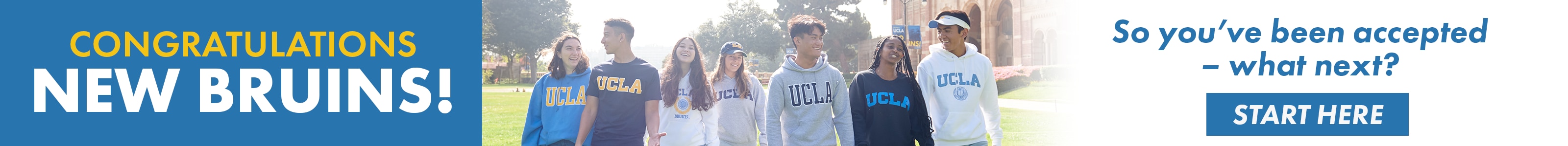 “Bruin